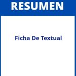 Ficha De Resumen Textual