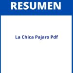 La Chica Pajaro Resumen Pdf