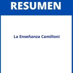 La Enseñanza Camilloni Resumen