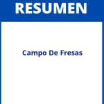 Resumen De Campo De Fresas