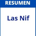 Resumen De Las Nif